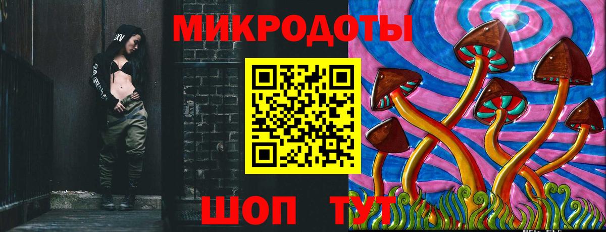 Галлюциногенные грибы Psilocybine cubensis Всеволожск