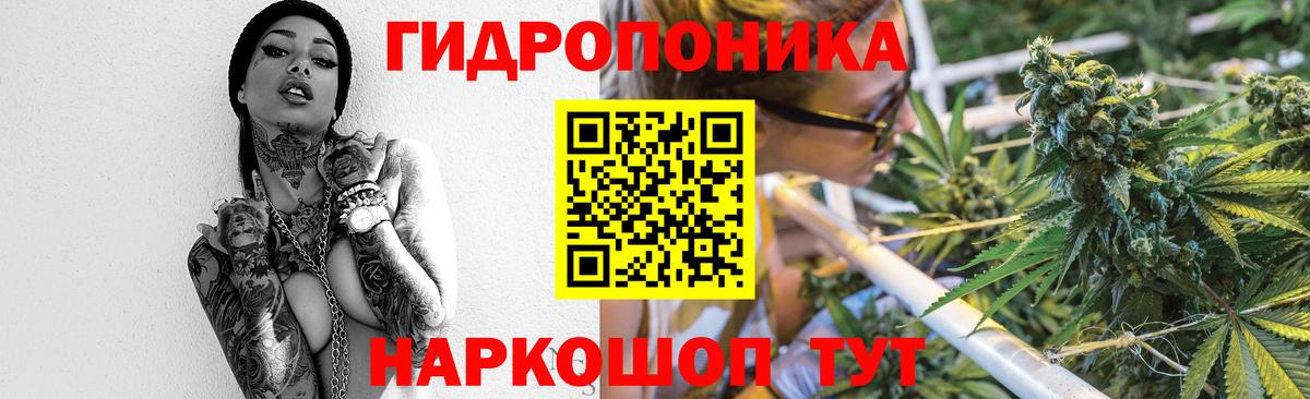 Всеволожск  Марихуана VHQ  Марихуана конопля  Канабис план  Вход с VPN 